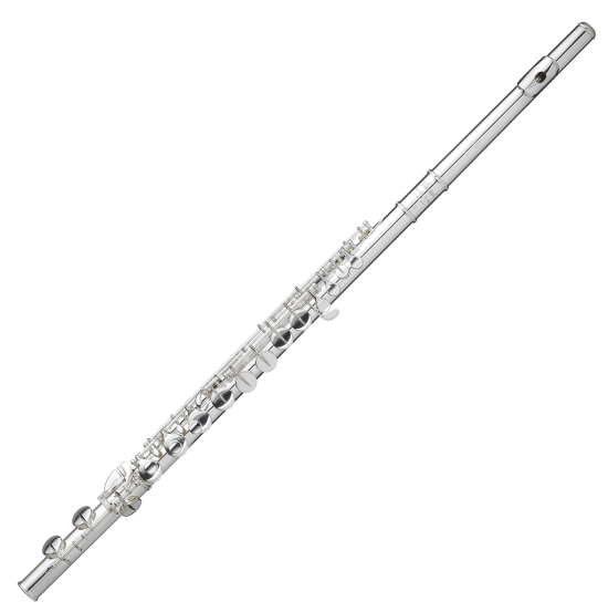 Resital alto flüt - tamamlandı